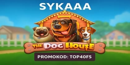 Sykaaa